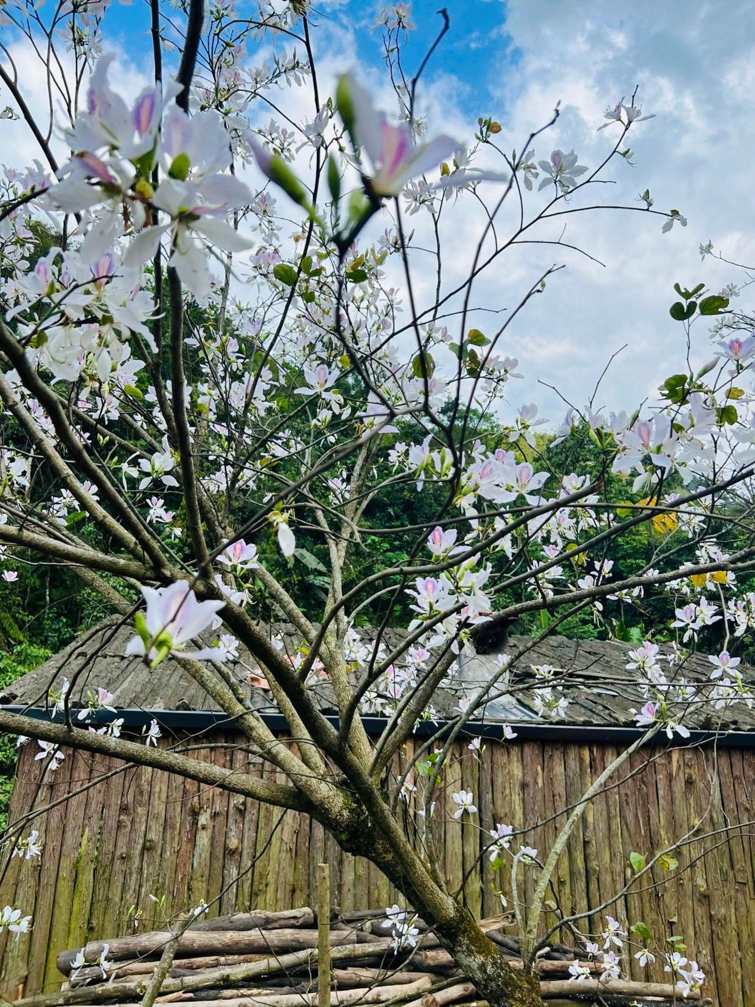Ngu Chi Son Trekking Sapa Hotel Kültér fotó
